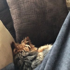 Meet your Posher, Chelsea